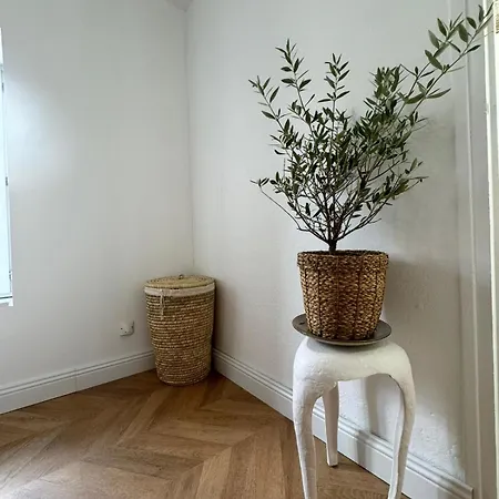 La Halte Des Arenes De Nude Beaute Du Minimalisme *